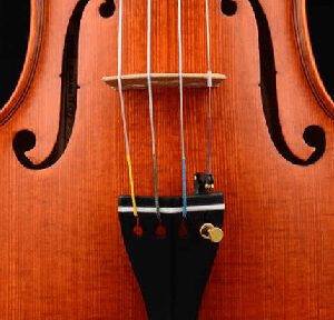Violins & Bows