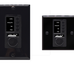 Four-button controller and volume control for the PRISMEDGERADIUS series in black color