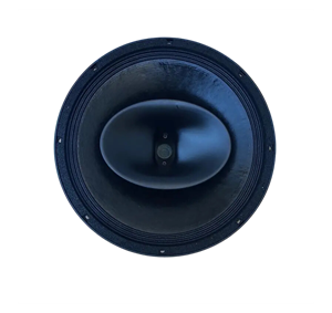 Element "15 coaxial B&C
