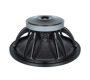 Element "15, 600W, B&C model 15FW76